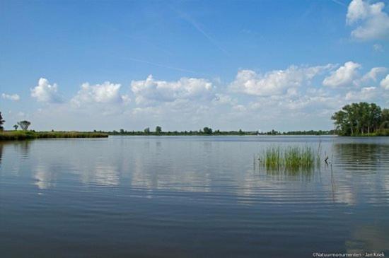 Froukje'S B&B Woerdense Verlaat Zewnętrze zdjęcie